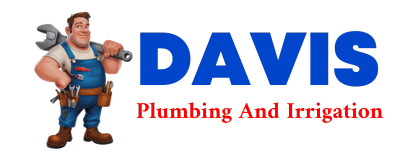 Trusted plumber in DELMITA